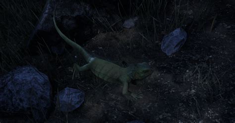 iguana poza discord|Steam Workshop::Iguana Mod.